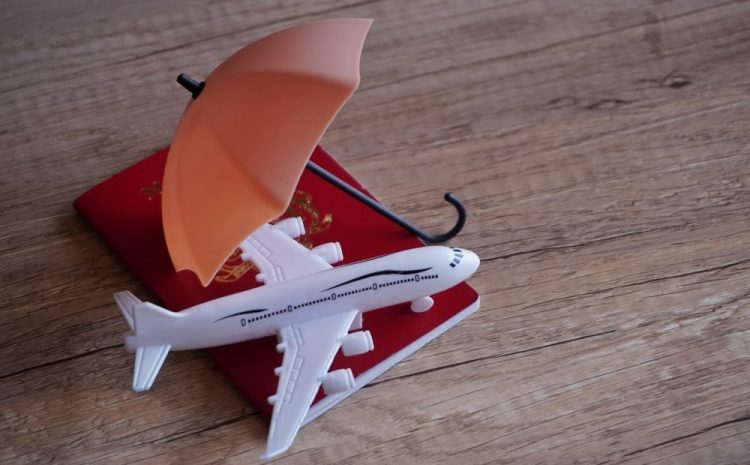  Smart Travel Insurance & Why Travelers CA Need It: ‘Stress-Free’